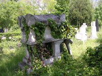 01-76 Jónás Zsigmond